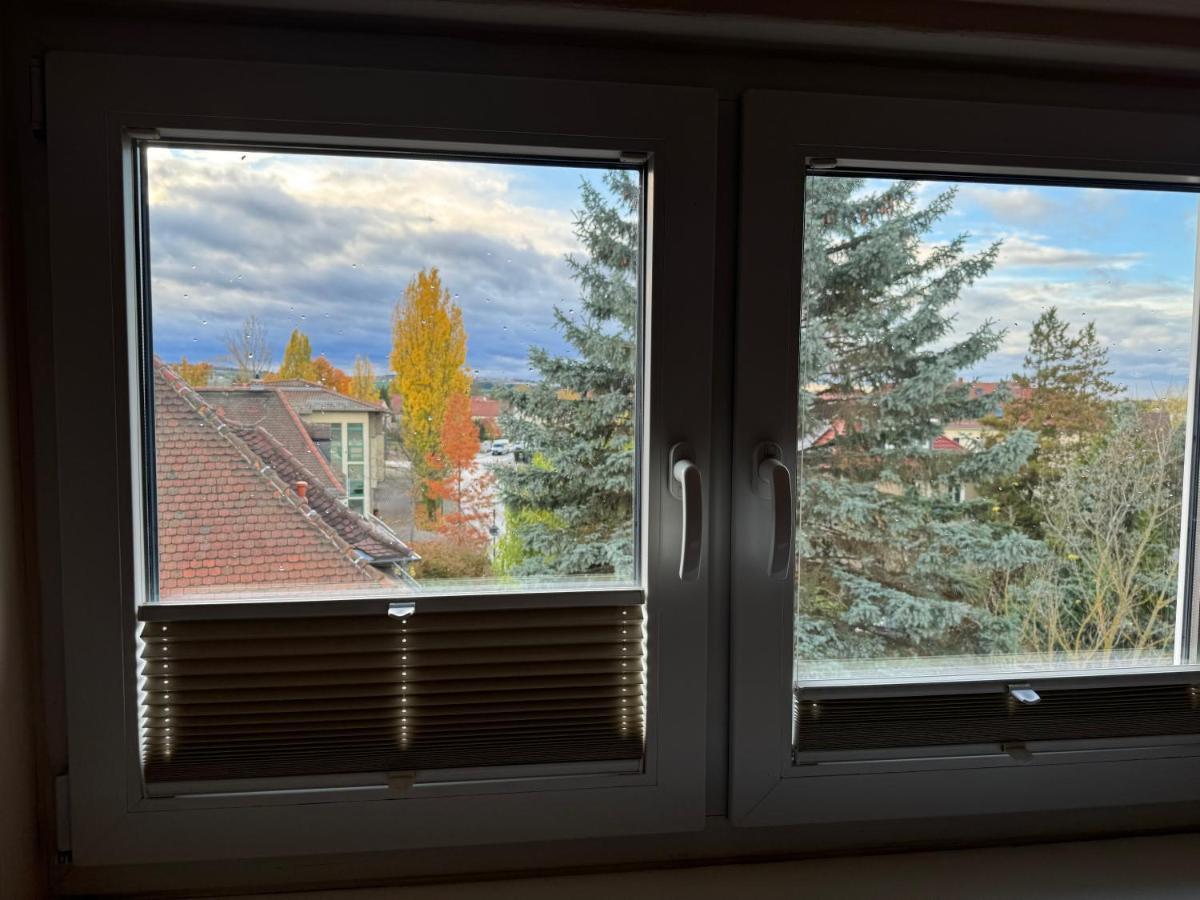 205 Qm "Traumtor" Mit Sauna, Whirlpool, Kamin Und 3 Terrassen Mit Blick In Die Boehmisch Saechsische Schweiz Drážďany Exteriér fotografie